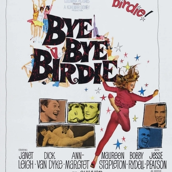 Bye Birdie фильм плакат Masterprint (11x17) | Дом и сад