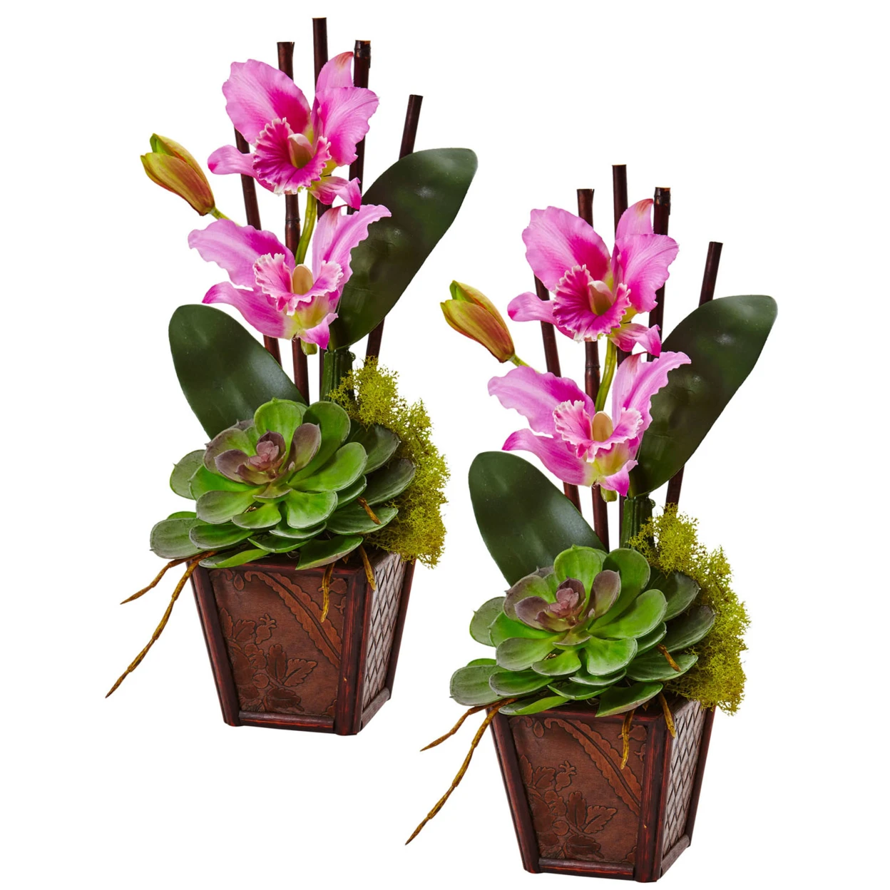 Quase Natural Home Decor Arranjo Orquídea Cattleya e Suculenta Conjunto de  2 Roxo|Flores secas artificiais| - AliExpress