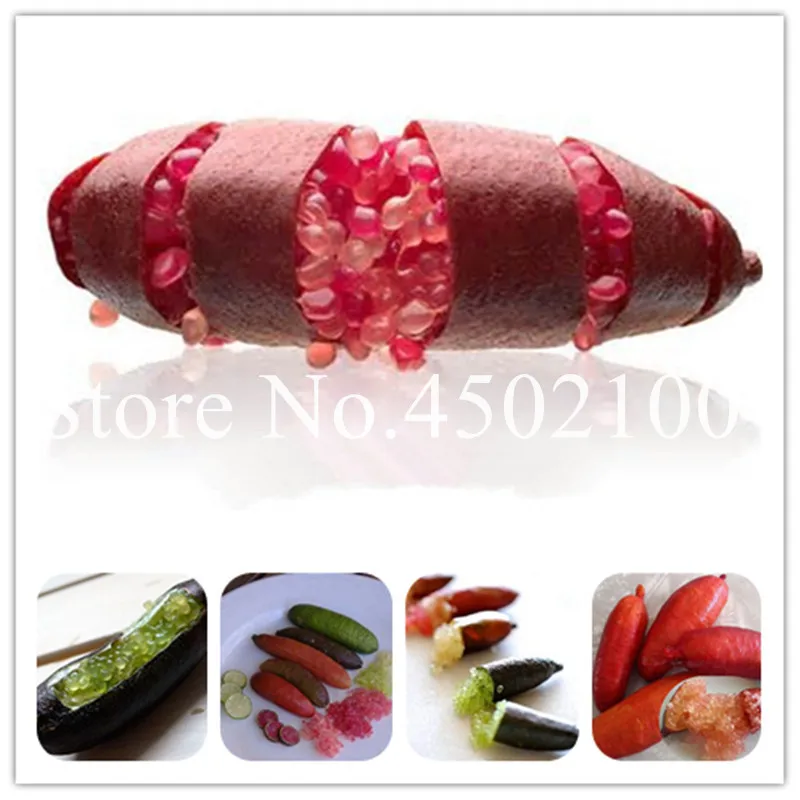 

50 Pcs/Bag Novel Finger Limes Citrus Bonsai, Delicious Pomegranate plants Sweet Fruit For Home Garden Plant (Mix Colors)