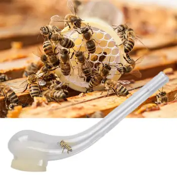 

Bee Beekeeper Queen Catching Cage Beekeeping Equipment Protection