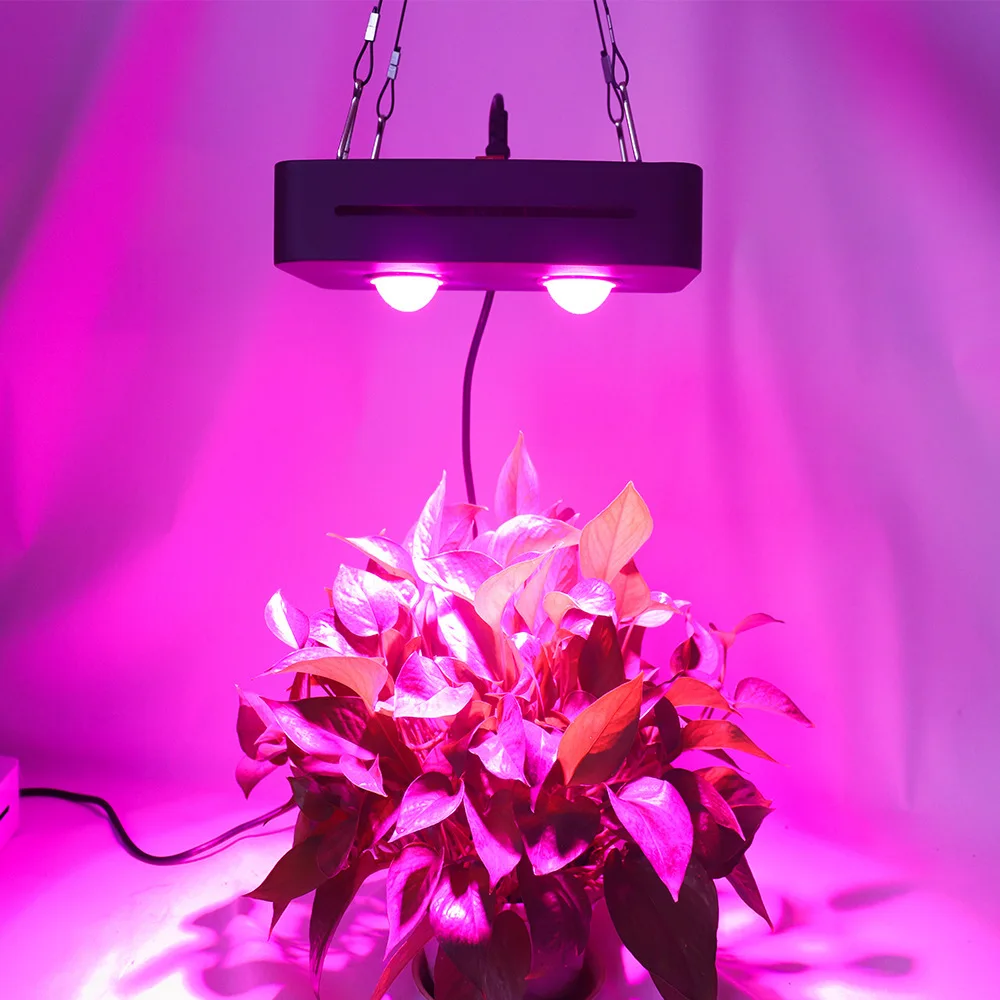100 Вт Светодиодная лампа для выращивания растений Cob растут свет рост полный спектр орхидеи саженцы культура Крытый цветы Освещение для теплицы