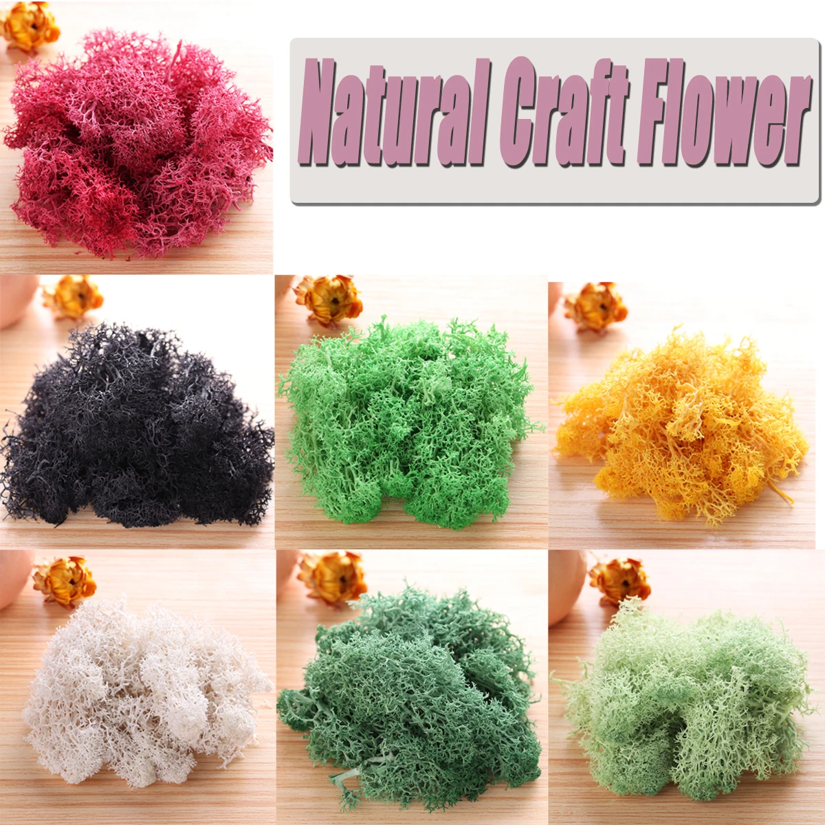 

Natural Norwegian Reindeer Moss Preserved Dried Craft Flower Artificial Decorations Artificial & Dried Flowers