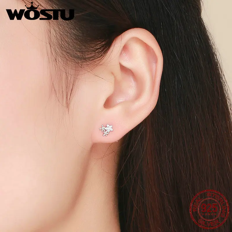 Женские серьги пусеты WOSTU из серебра 925 пробы с цветком в виде снежинок