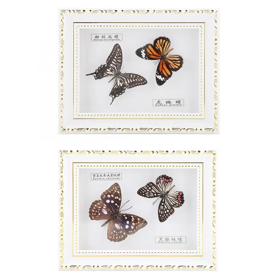 

Butterflies Insect Specimen Photo Frame Craft Birthday Gift Home Ornament