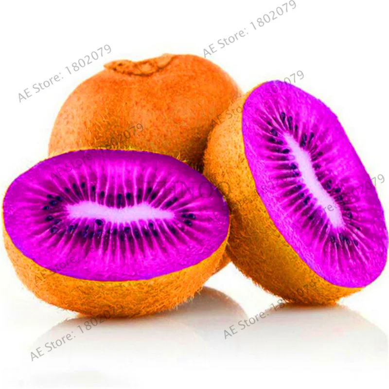 

New 2018!100pcs Mini Kiwi fruit Garden Thailand mini Kiwi Fruit floresling flower Bonsai plants delicious kiwi Vegetable Plantas