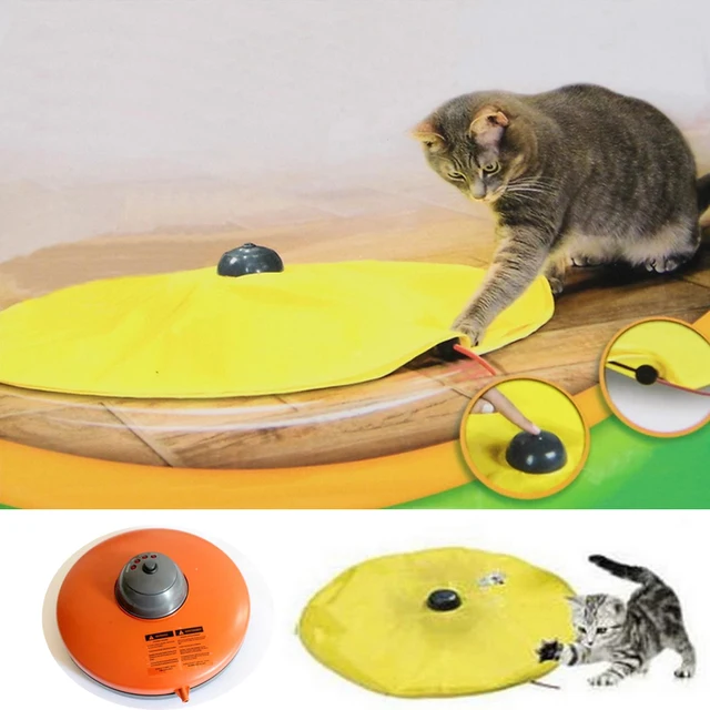 Cats Playing Plate Training Hunting Pad Mat Cover Fabric Mouse Toy For