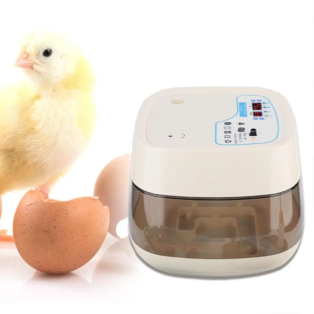 

Farm Poultry Drinking Water System Fully Automatic Household Egg Incubator Hatching Eggs with LED Candling Lamp Pet Farm