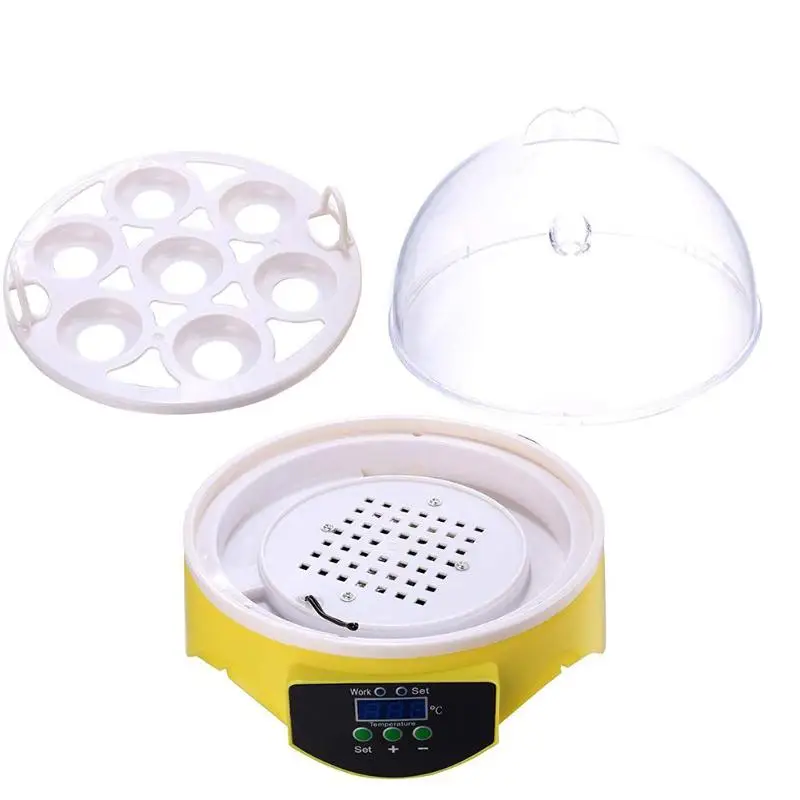 Creative Mini 7 Egg Incubator Poultry Incubator Brooder Digital Temperature Control Egg Incubator Hatcher for Chicken Bird Egg Creative Mini 7 Egg Incubator Poultry Incubator Brooder Digital Temperature Control Egg Incubator Hatcher for Chicken Bird Egg