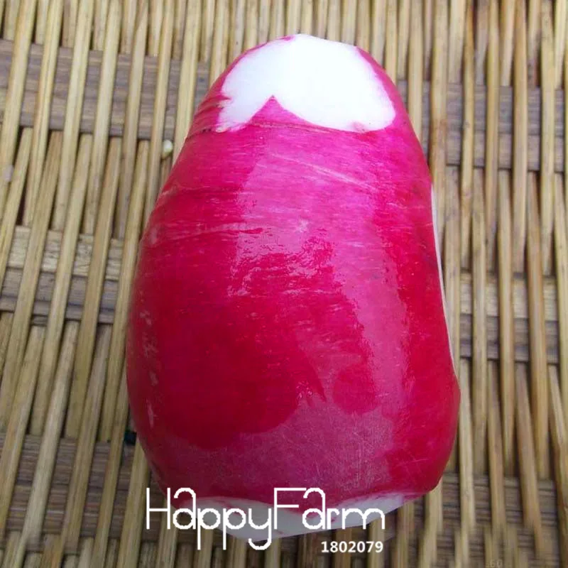 

Promotion!60 PCS/Bag Redskins Fruit Vegetable Bonsai Garden green non-GMO Organic Vegetables Long red Radish Plants,#RK6IH9