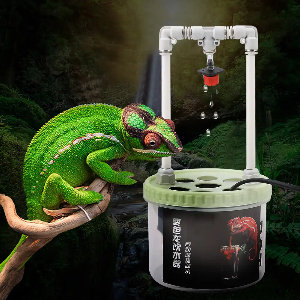 500 700ml Reptile Feeder Drinking Water Dripper Chameleon