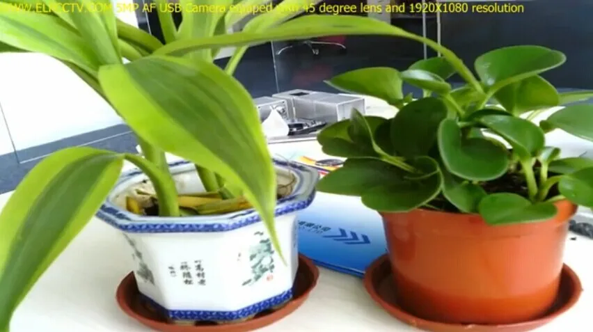 5MP USB Autofocus