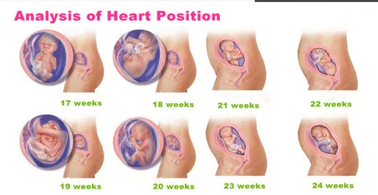 heart position_.jpg