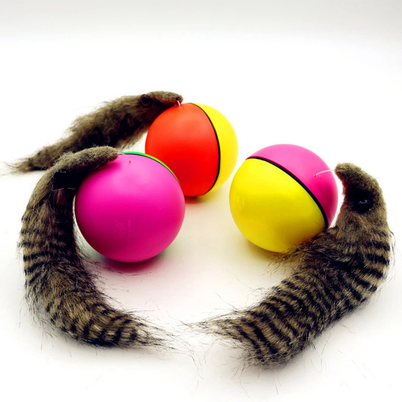 Electric Beaver Weasel Toy 1 Electric Beaver Weasel Toy 1