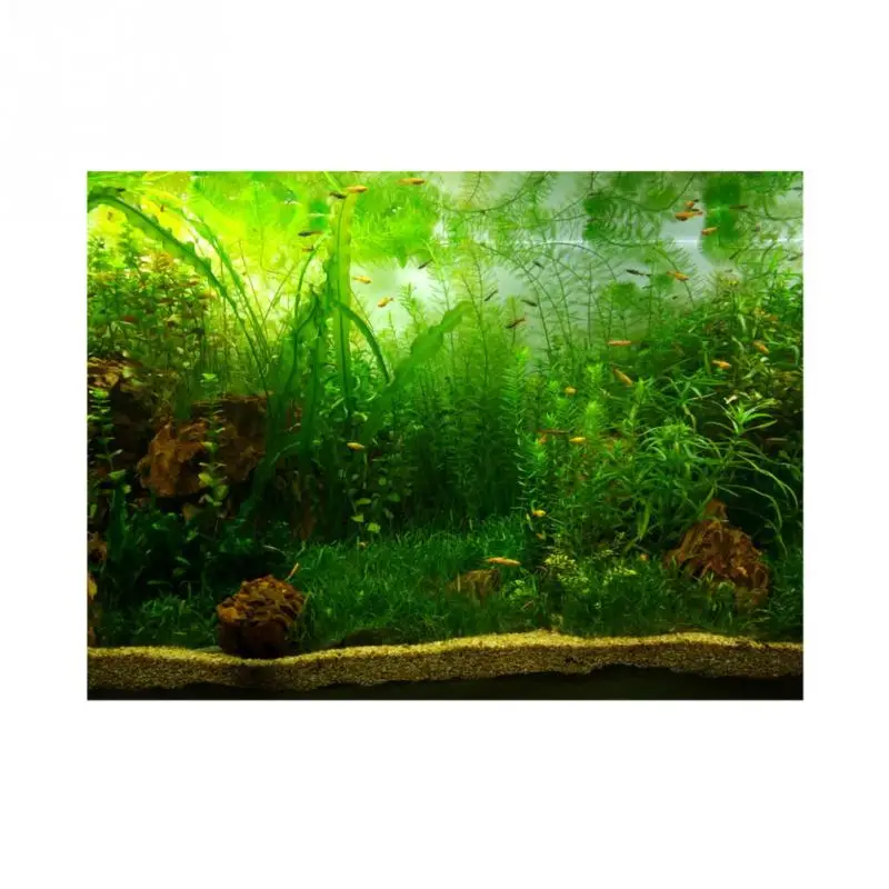 

Water Grass Style Aquarium Fish Background Poster PVC Adhesive Decor Paper