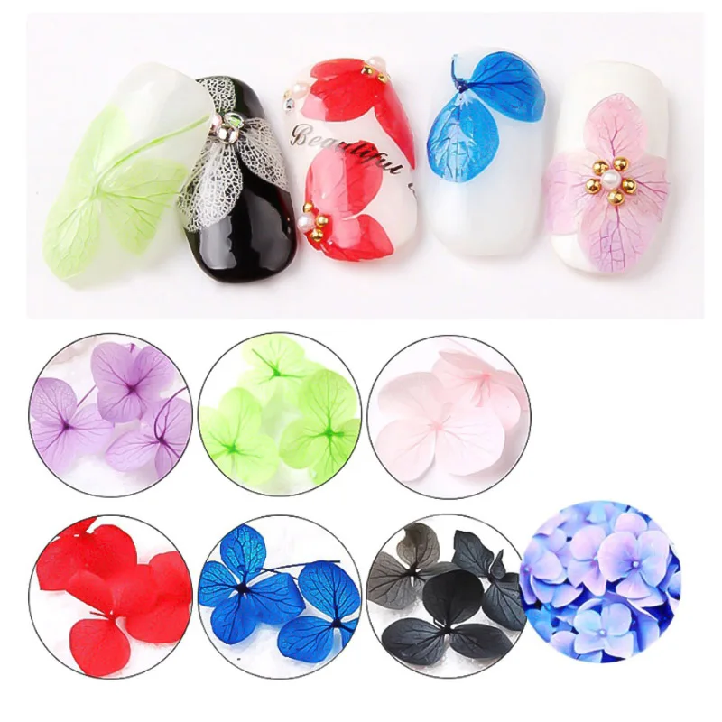 

Yinikiz DIY Nails Art Sticker Natural Plant Dried Flower Nail Ornaments Colorful Nails Art Sticker Colorful Nail Art Sticker Nai