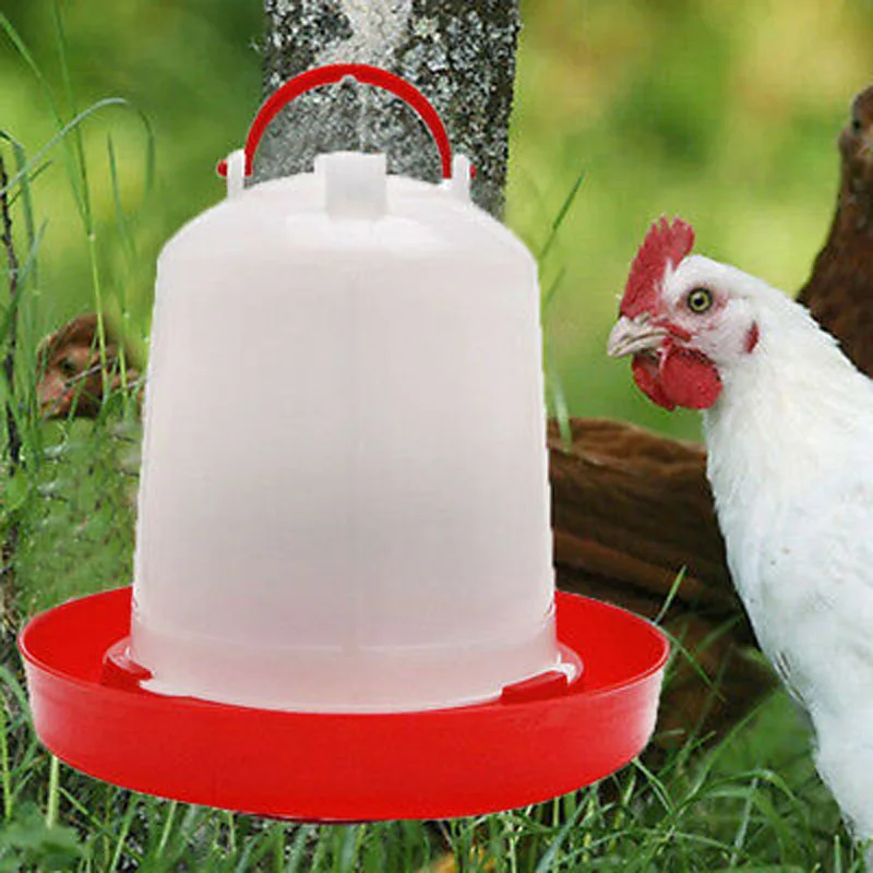 Chicken Feeder Drinker Poultry Feed Water Waterer Automatic Drink