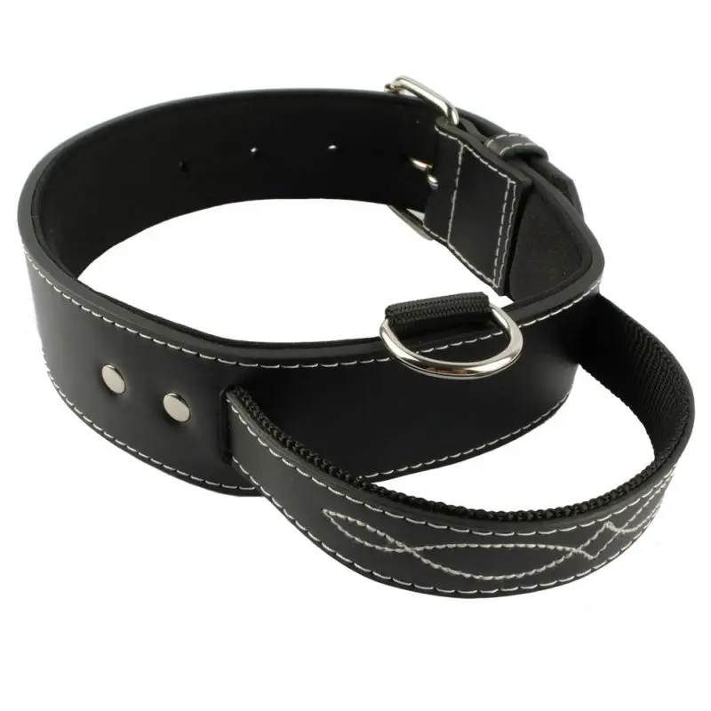 

Soft Padded Leather Dog Collars With Handle Quick Control For Training Pit Bull