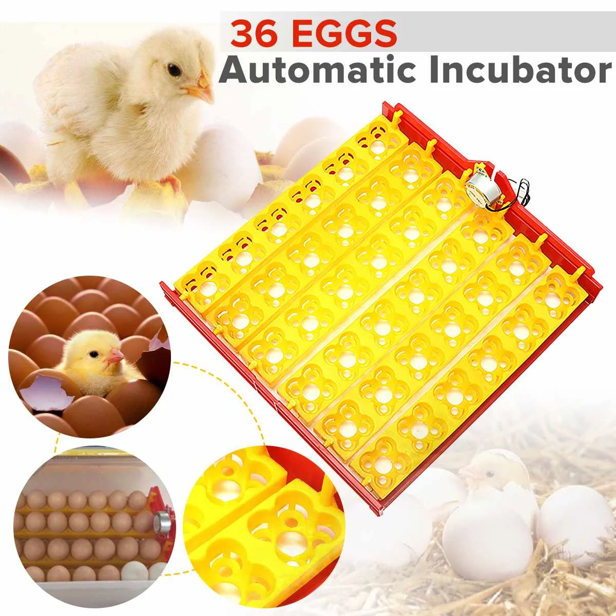 36Pcs Egg Poultry Chicken Egg Incubator Turner Tray Turning Motor Temperature Control 220V 36Pcs Egg Poultry Chicken Egg Incubator Turner Tray Turning Motor Temperature Control 220V