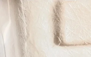body