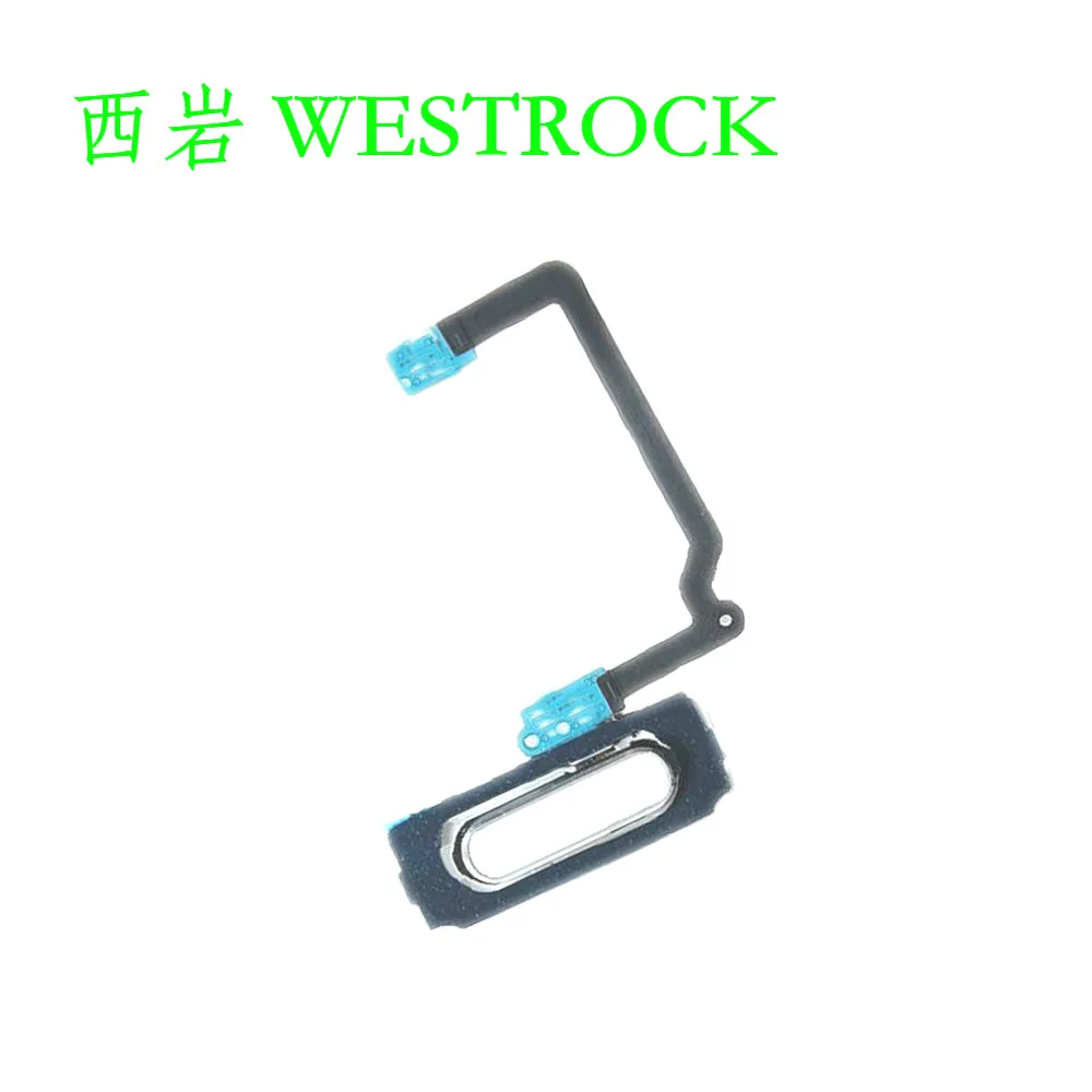 Westrock Кнопка возврата на домашнюю страницу гибкий плоский ленточный кабель для замены для Samsung Galaxy S5 G900F G900A G900H G900M G900T чехол для телефона Westrock Кнопка возврата на домашнюю страницу гибкий плоский ленточный кабель для замены для Samsung Galaxy S5 G900F G900A G900H G900M G900T чехол для телефона