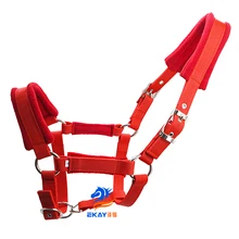 PP тесьма лошадь Холтер, металл серебристого цвета fittings.6MM толщиной(BLT2000B