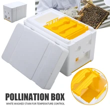 Foam + Plastic Beekeeping Tool Box Auto Honey Beehive Frames Beekeeping Kit Harvest Bee Hive King Pollination Box