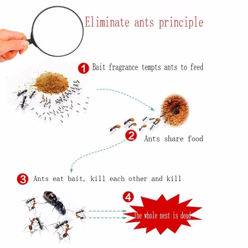 100 шт. сильно эффективная приманка для муравьев, порошка для лекарств, убийца насекомых, чистая приманка, отвергающая Ловца для борьбы с вредителями, мощная ловушка, анти