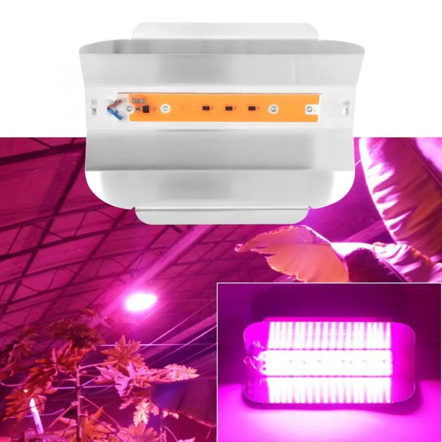 

220V 30W 50W 80W Indoor Plants Growing Light COB LED Grow Lamp Full Spectrum Plant Growing Lamp Big Promotion