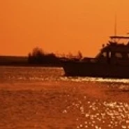 Маленькие яхты в Атлантическом океане Intracoastal Waterway Charleston County Южная Каролина США