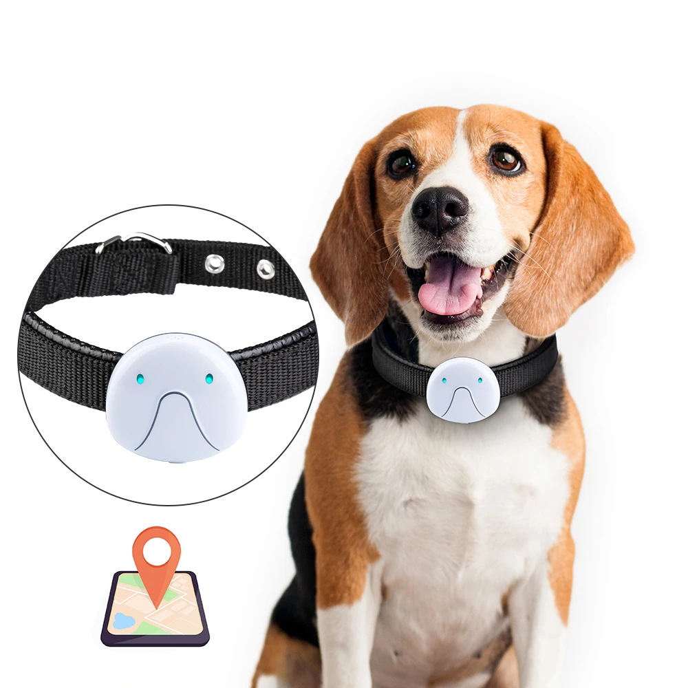 New Smart Dog Collar Gps Tracker Dog Cats Activity Monitor Pi967 Waterproof Anti-lost Collar 120h Standby Usb Charging - Harnesses & - AliExpress