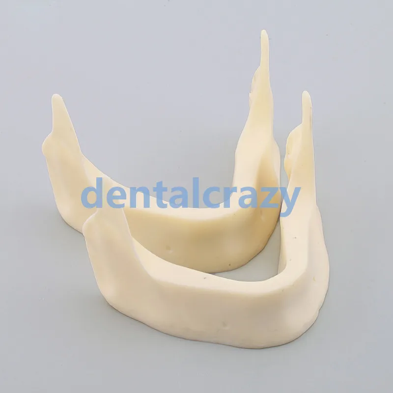 

2pcs Dental Model M2025 - The Development of Jaw Lower dental instrument