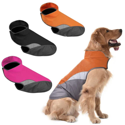 Puppy waterproof jacket Clearance
