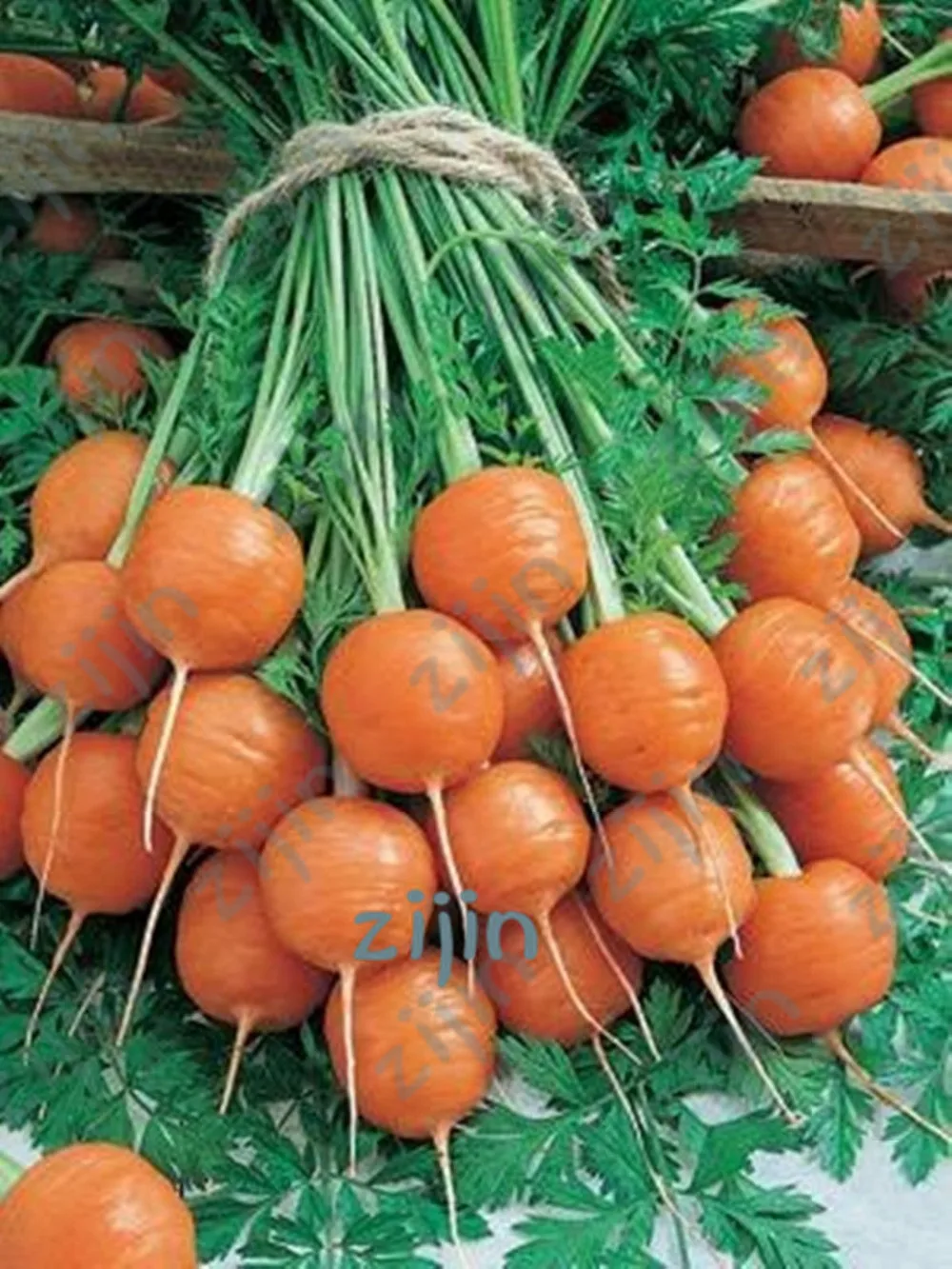 

100pcs/ bag Bonsai Carrot Non-GMO Vegetable Plants Outdoor Potted Planta Sweet & Healthy Plant for Home Garden Easy to Grow
