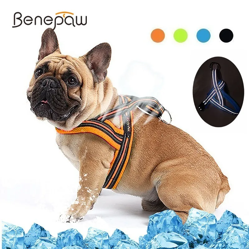 

Benepaw Adjustable Reflective Dog Harness Vest Comfortable Padded Harness Small Medium Big Dog Nylon Breathable Accessories Pet