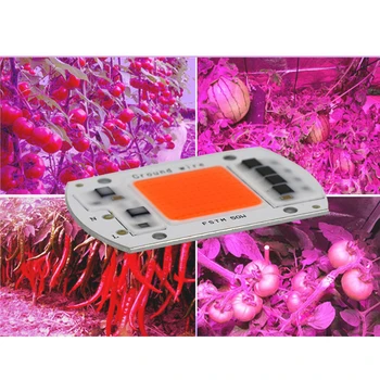 

LED Plant Growth Light Chip AC220~240V 15W 20W 30W 50W full Spectrum Growth LED Chip Indoor Plant Flower Growth Lamp