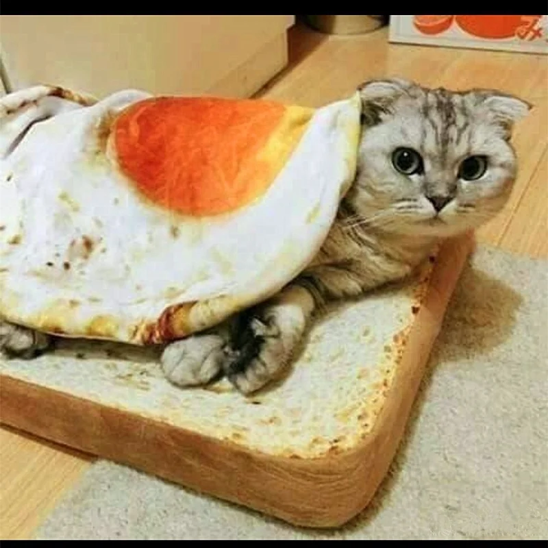 Милое одеяло для домашних животных Omelette s Puppy Cat короткий плюшевый коврик прочные
