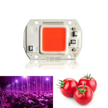 10PCS Led Grow Light Chip 20W 30W 50W Full Spectrum 380nm840nm AC220V/110V For Hydroponics Greenhouse DIY for Led COB Grow Lamps single chip light column led 8x32 light cube spectrum electron diy production circle dot matrix send program