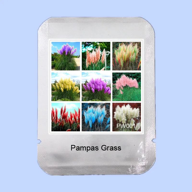 

Time-Limited Promotion!!500 Pcs 9 color mixed garden pampas grass flores,bonsai rare flower rainbow plants for home garden,#PW00