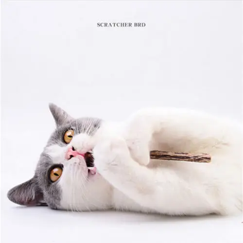 10PCS Pet Cat Pure Natural Catnip Toy Branch Cleaning Teeth Silver vine Cat Snacks Sticks Pet Supplies 10PCS Pet Cat Pure Natural Catnip Toy Branch Cleaning Teeth Silver vine Cat Snacks Sticks Pet Supplies