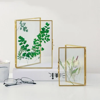 

Folded Double-Sided Glass Metal Photo Frame, Botanical Specimen Holder, Electroplated Gold-Covered Display Stand