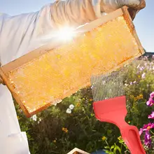 1 шт.,, 21-игла Пчеловодство резки нож-скребок для пчеловодов Лопата пчеловод Bee фермы для хранения меда обработки ручной инструмент нож пасечный