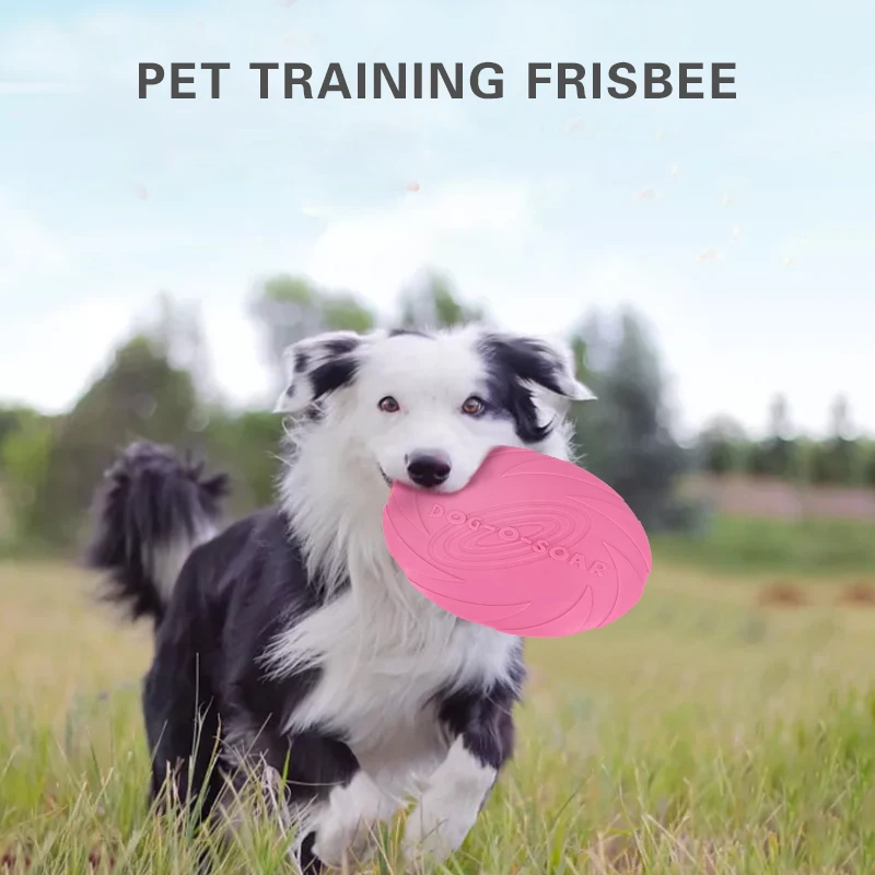 أفضل بيع الحيوانات الأليفة اللعب التفاعلية لعب مضغ للكلاب المقاومة دغة لينة الحيوانات الأليفة لعبة المطاط إحضار القرص الطائر 15 سنتيمتر 18 سن... أفضل بيع الحيوانات الأليفة اللعب التفاعلية لعب مضغ للكلاب المقاومة دغة لينة الحيوانات الأليفة لعبة المطاط إحضار القرص الطائر 15 سنتيمتر 18 سن...