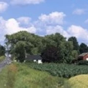 Дорога проходящая через ферму Emmons Road Tompkins County Finger Lakes Region New York State USA постер (36x12) |
