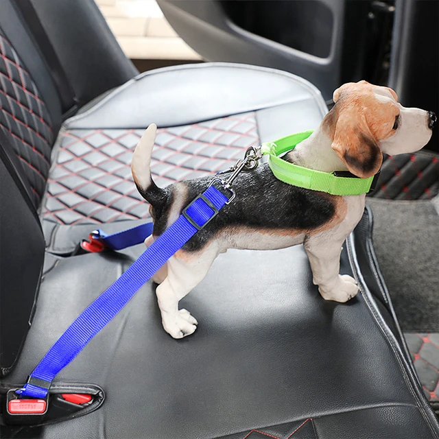 Laisse pour chien Voiture - ceinture de sécurité Nylon 43 à 70 cm Larg. 2.5  cm