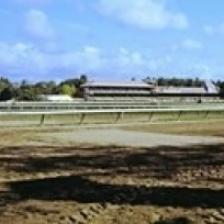 Saratoga Racecourse at Springs Нью-Йорк штат США плакат печать (15x6) | Дом и сад