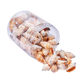

80-100pcs/Box Natural Conch Shells Aquarium Decoration Fish Tank Ornaments Party Festival Home DIY Decor Natural Beach Seashells