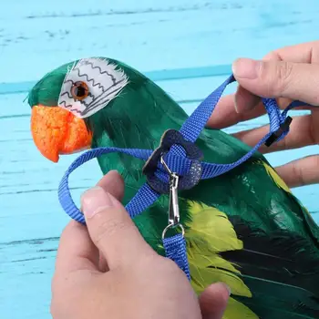 

Parrot Bird Leash Outdoor Adjustable Harness Pets Outdoor Training Rope Anti Bite Flying Cross Band Pet Bird Supplies