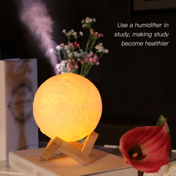 

Home Use LED Lunar Air Humidifier 3D Moon Lamp Diffuser Aroma Essential Oil USB Rechargeable Ultrasonic Mist Purifier