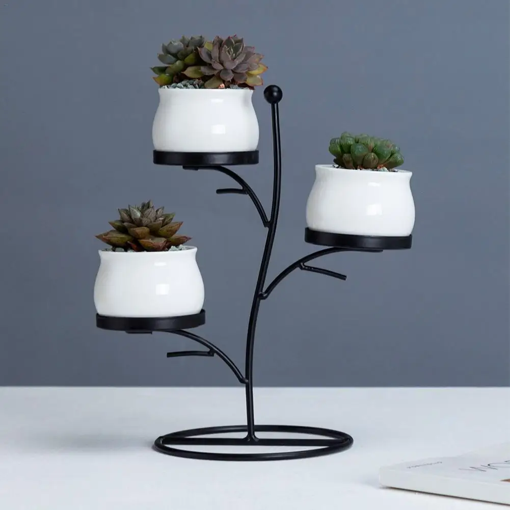 

Succulent Plants Flower Pot Iron Frame Set Innovative Geometric Branches Small Round Ceramic Flower Pot And Plant Stand Set