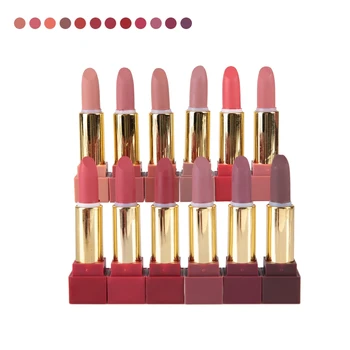 

12 Colors Nude Color Matte Lip Gloss Waterproof Long Lasting Lipstick Kit